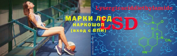 дмт Богданович