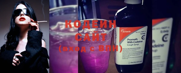 дмт Богданович