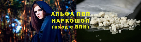 дмт Богданович