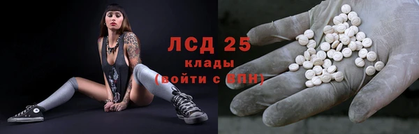 дмт Богданович