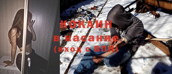 дмт Богданович