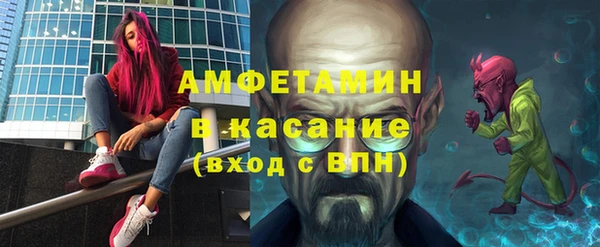 дмт Богданович