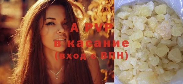 дмт Богданович