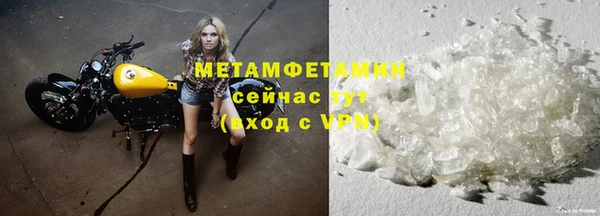 дмт Богданович